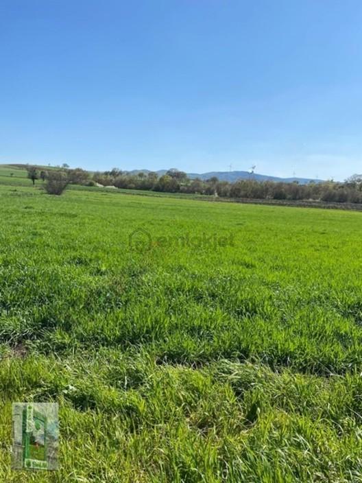 Şahlan Emlaktan 17500m2 Sulamada Satılık Arazi - 30
