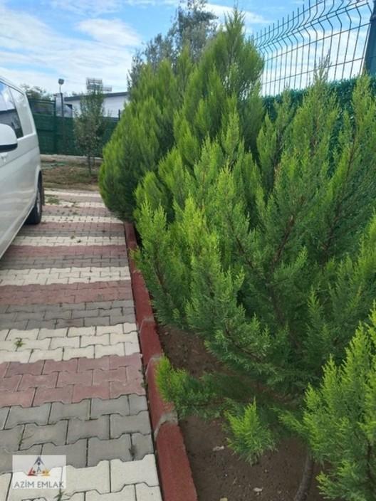 Karacaağaç Satılık Mustakil Bahçe - 12