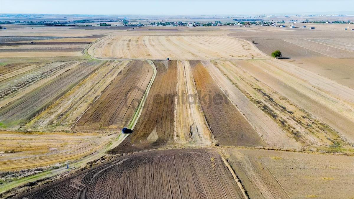 Muratlı Aşağısevindikli Mh.1295 Parsel 5.100 M² Satılık Tarla - 2