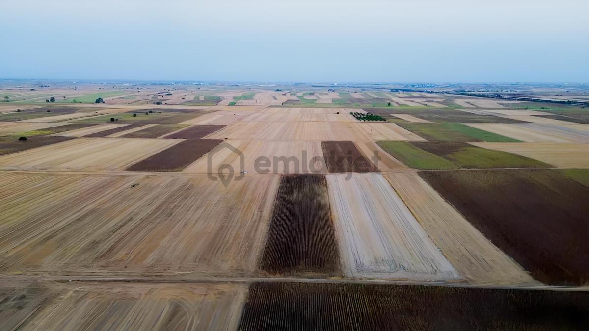 Tekirdağ Ergene Pınarbaşı Mh. 3.457 M² Satılık Tarla - 4