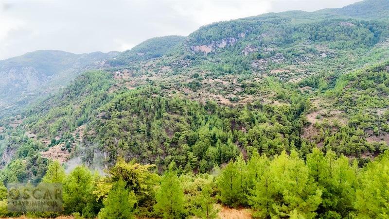 Alanya Türktaş Mahallesı'nde 3.642m2 Satılık Tarla - 8