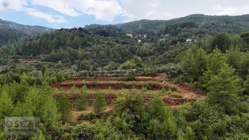 Alanya Türktaş Mahallesı'nde 3.642m2 Satılık Tarla - 6