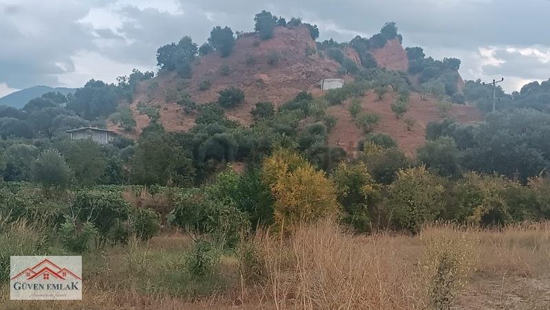 Gedikaltı Mahallesin De Satılık 1800 M² Bahçe ! ! ! - 5