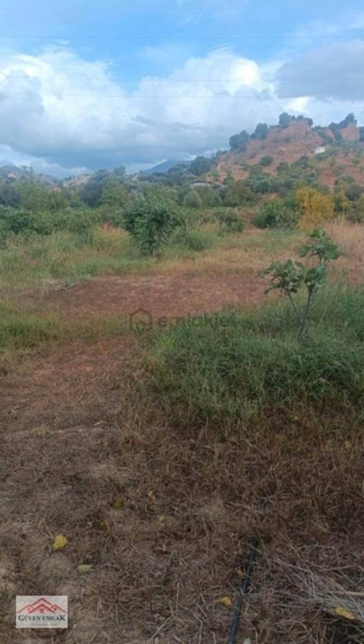 Gedikaltı Mahallesin De Satılık 1800 M² Bahçe ! ! ! - 3