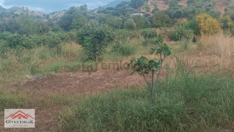 Gedikaltı Mahallesin De Satılık 1800 M² Bahçe ! ! ! - 13