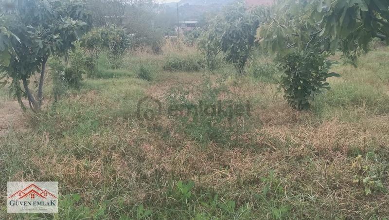 Gedikaltı Mahallesin De Satılık 1800 M² Bahçe ! ! ! - 9