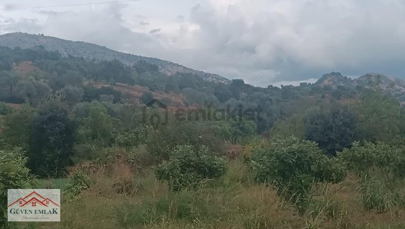 Gedikaltı Mahallesin De Satılık 1800 M² Bahçe ! ! ! - 18