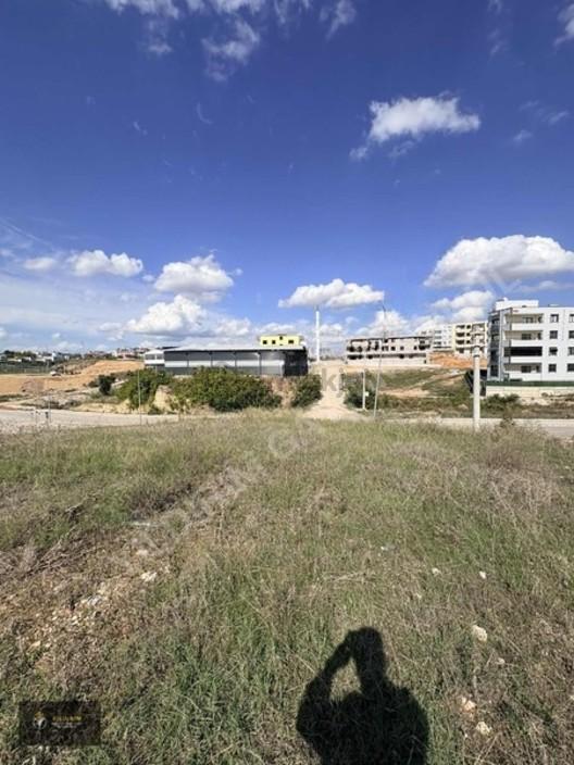 Beyceli Açelya Caddesi Üzeri 516m2 Satlık Arsa - 5