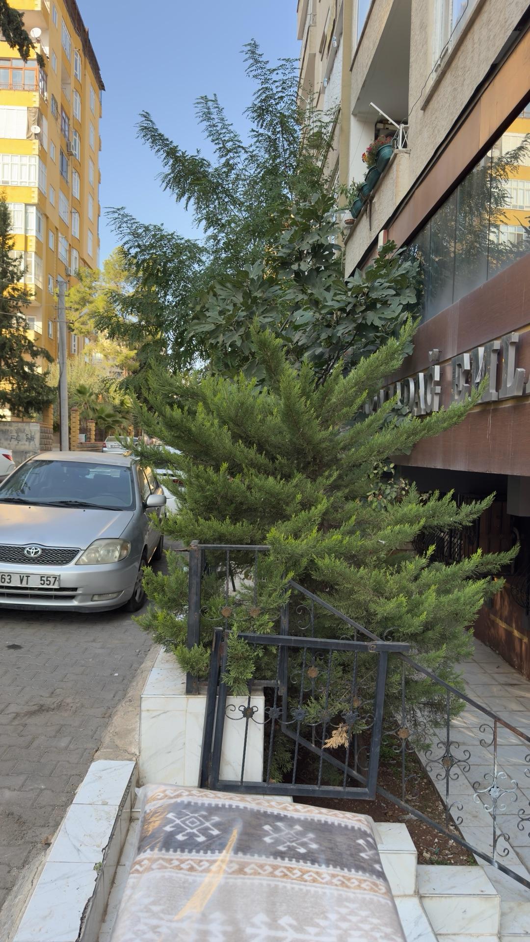 Yenişehir Mahallesinde 3+1 Kiralık Daire - 3