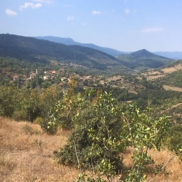 Bayramiç'de Toluklar'da Müstakil Tapulu Arsa - 7