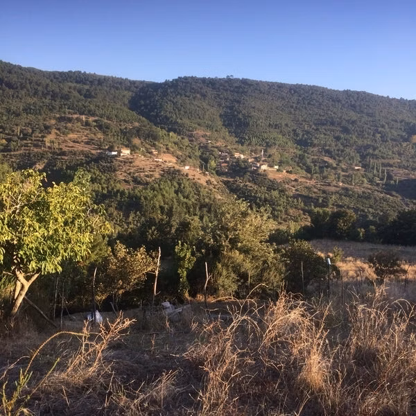 Bayramiç'de Toluklar'da Müstakil Tapulu Arsa - 6