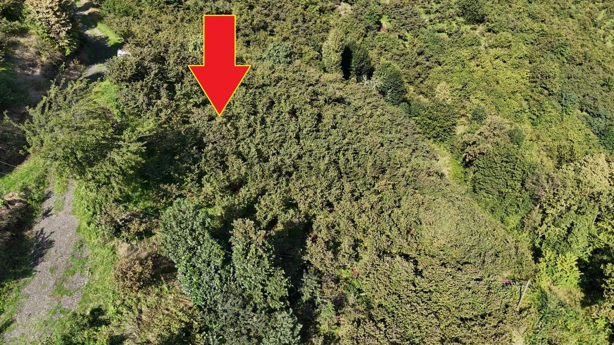 Mabel'den Korkuthan'da Resmi Yol Kenarı Ev Yapılabilir 3.160 M2 - 9