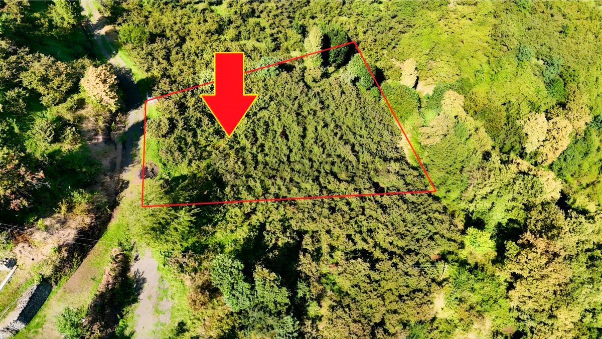 Mabel'den Korkuthan'da Resmi Yol Kenarı Ev Yapılabilir 3.160 M2 - 10