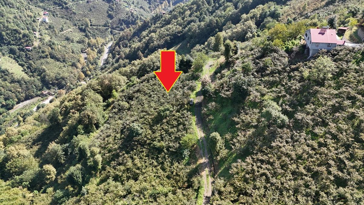 Mabel'den Korkuthan'da Resmi Yol Kenarı Ev Yapılabilir 3.160 M2 - 2