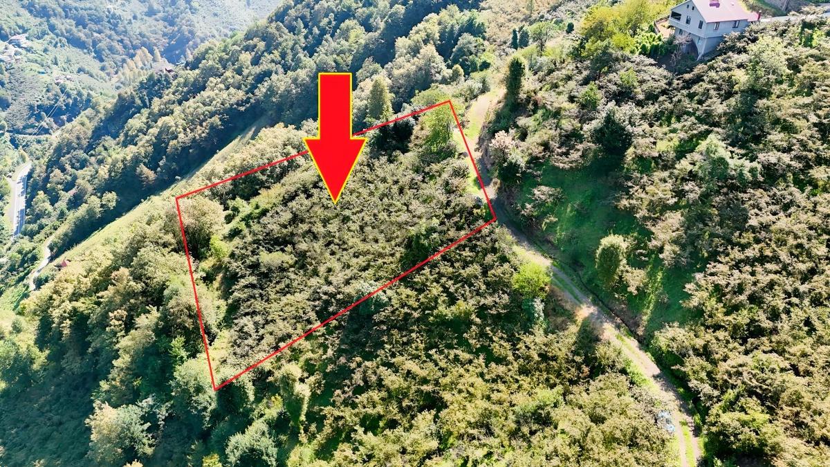 Mabel'den Korkuthan'da Resmi Yol Kenarı Ev Yapılabilir 3.160 M2 - 3