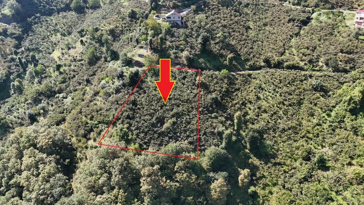 Mabel'den Korkuthan'da Resmi Yol Kenarı Ev Yapılabilir 3.160 M2 - 6