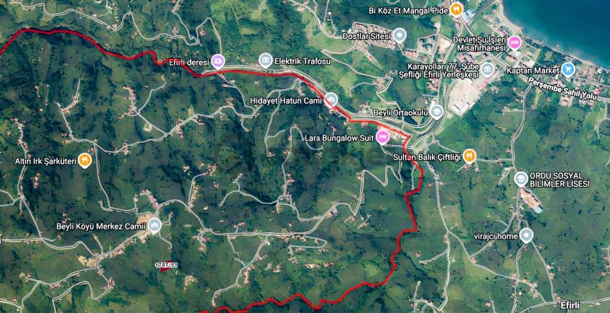 Ordu Hekimoğlu'ndan Perşembe Beylide Satılık 2500 M2 Bahçe - 3