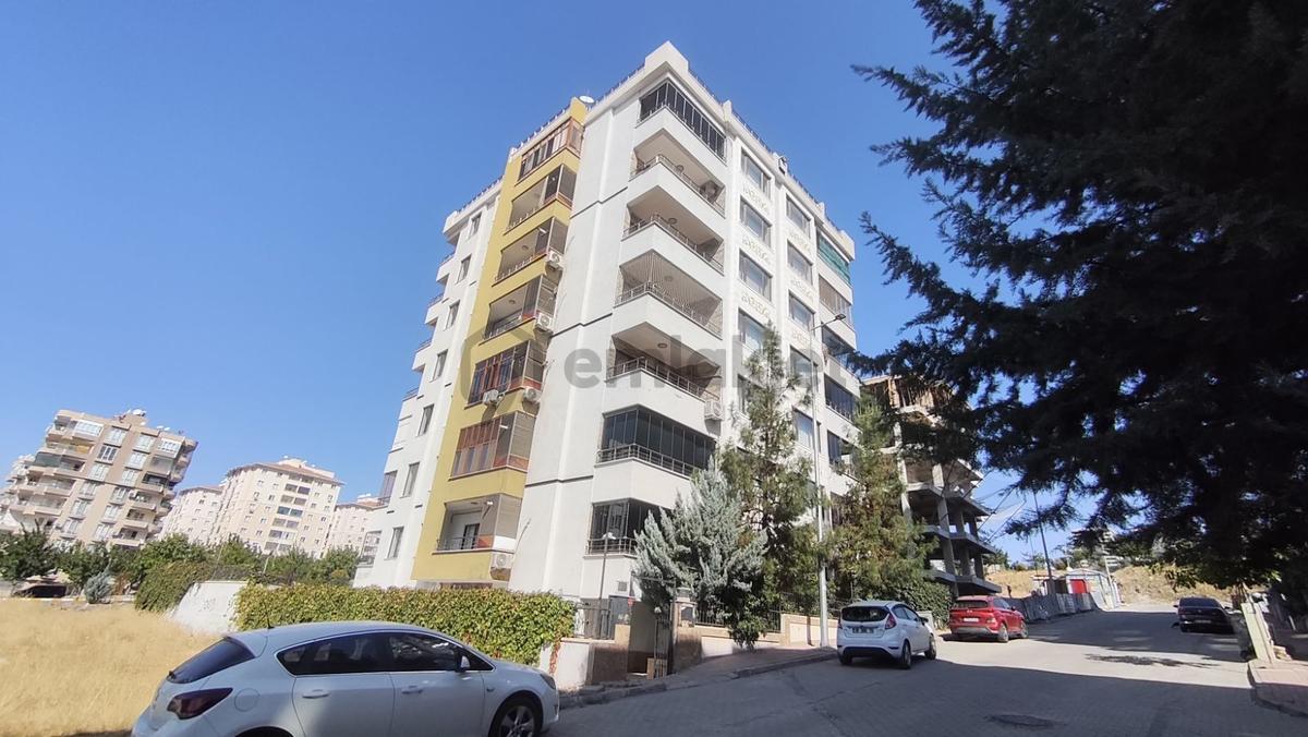Güzelşehir Orman Müd. Aşağısı 5 Odalı Bakımlı Satılık Daire - 3