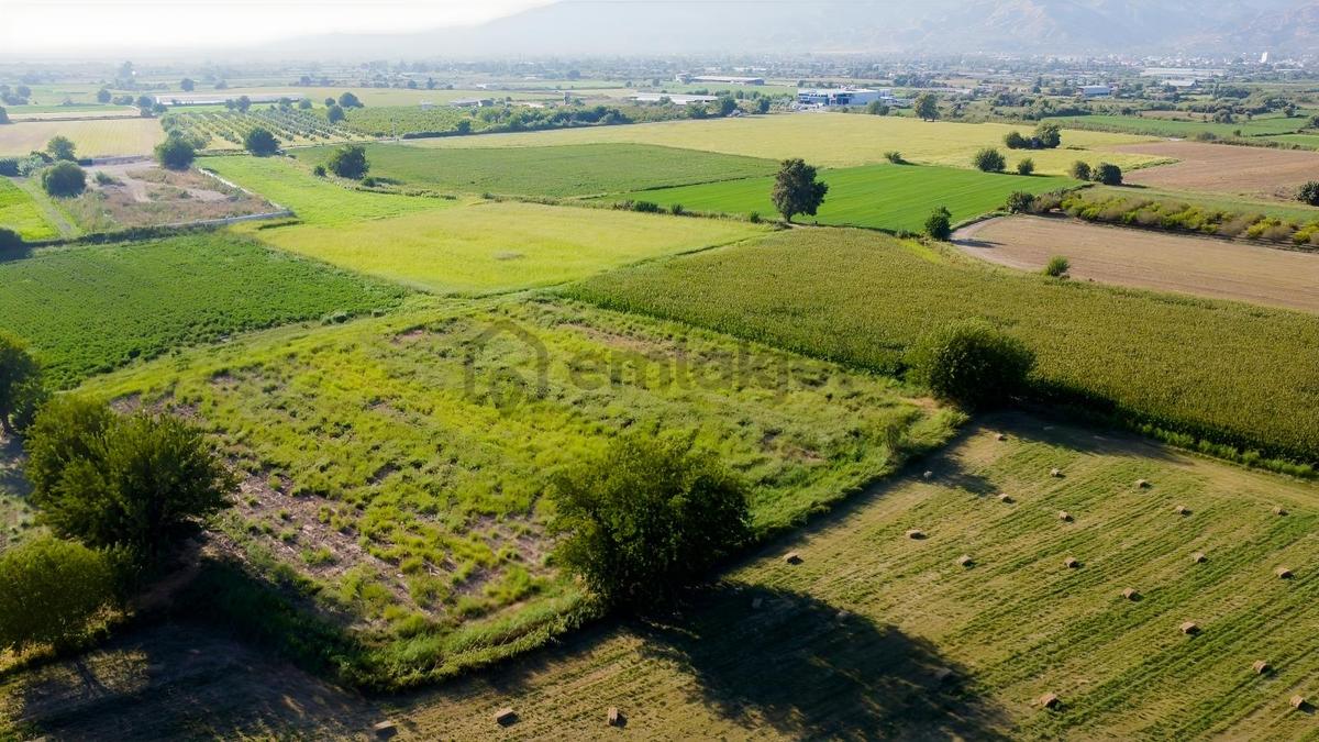 Umurlu'da Satılık Kaçırılmayacak 6.200 M² Tek Tapu - 7