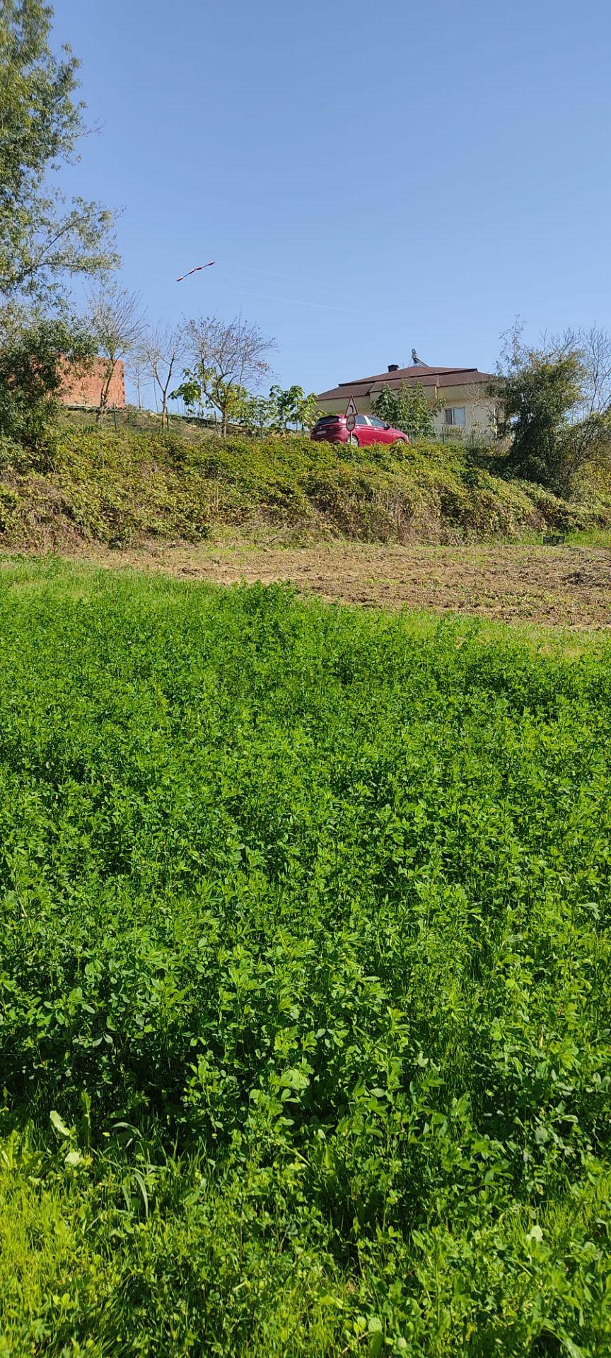 Yatırımlık Mükemmel Tarla - 5