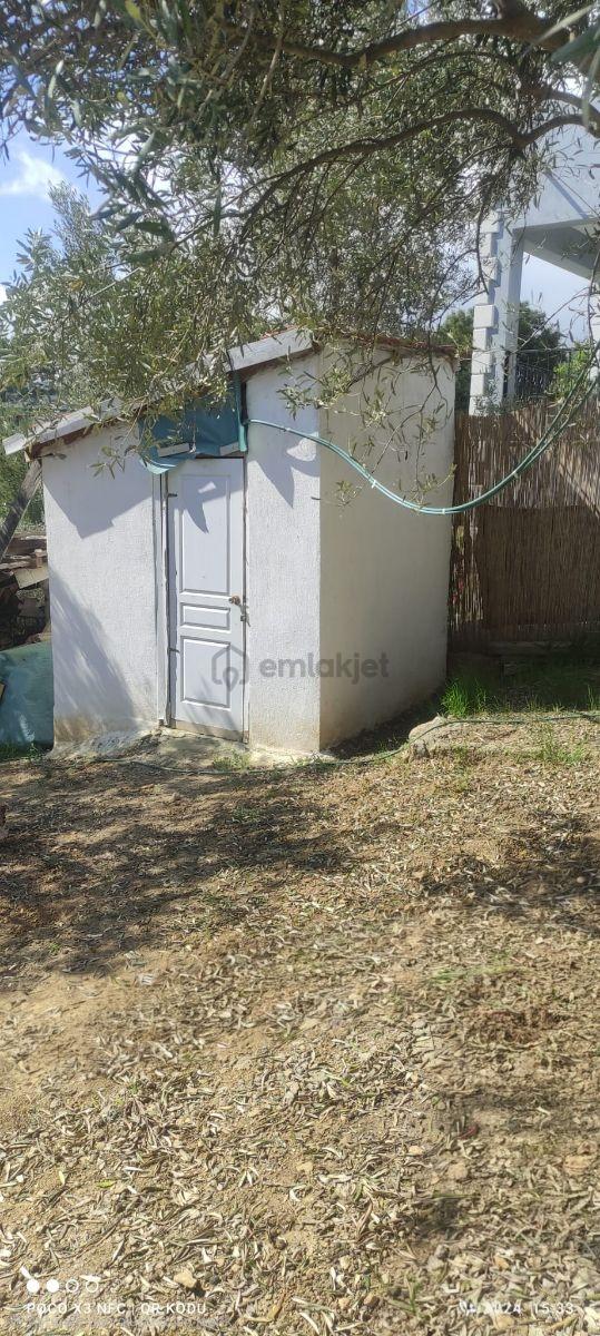 Kemalpaşa Damlacık'ta Yapı Kullanımlı 1+1 Ev 500 M2 Hisseli - 23