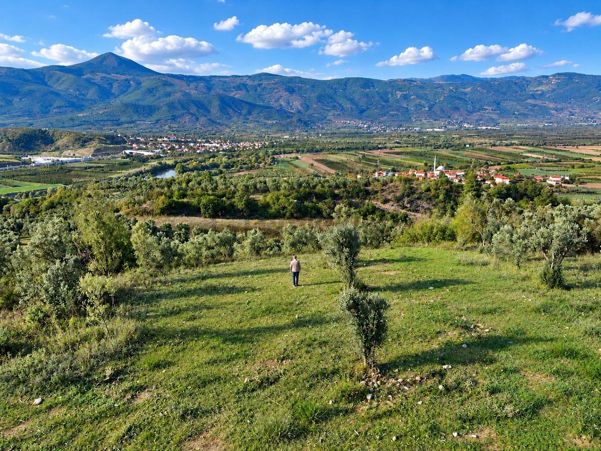 Geyve Osmaneli Sınırı 2390 M2 Bağ Nitelik Panoramik Manzaralı - 31
