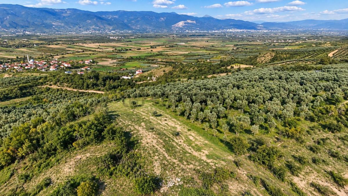 Geyve Osmaneli Sınırı 2390 M2 Bağ Nitelik Panoramik Manzaralı - 22
