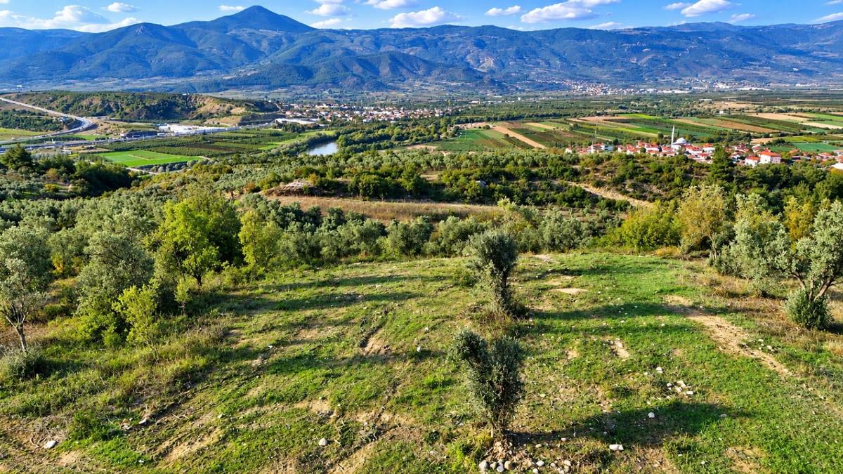 Geyve Osmaneli Sınırı 2390 M2 Bağ Nitelik Panoramik Manzaralı - 27