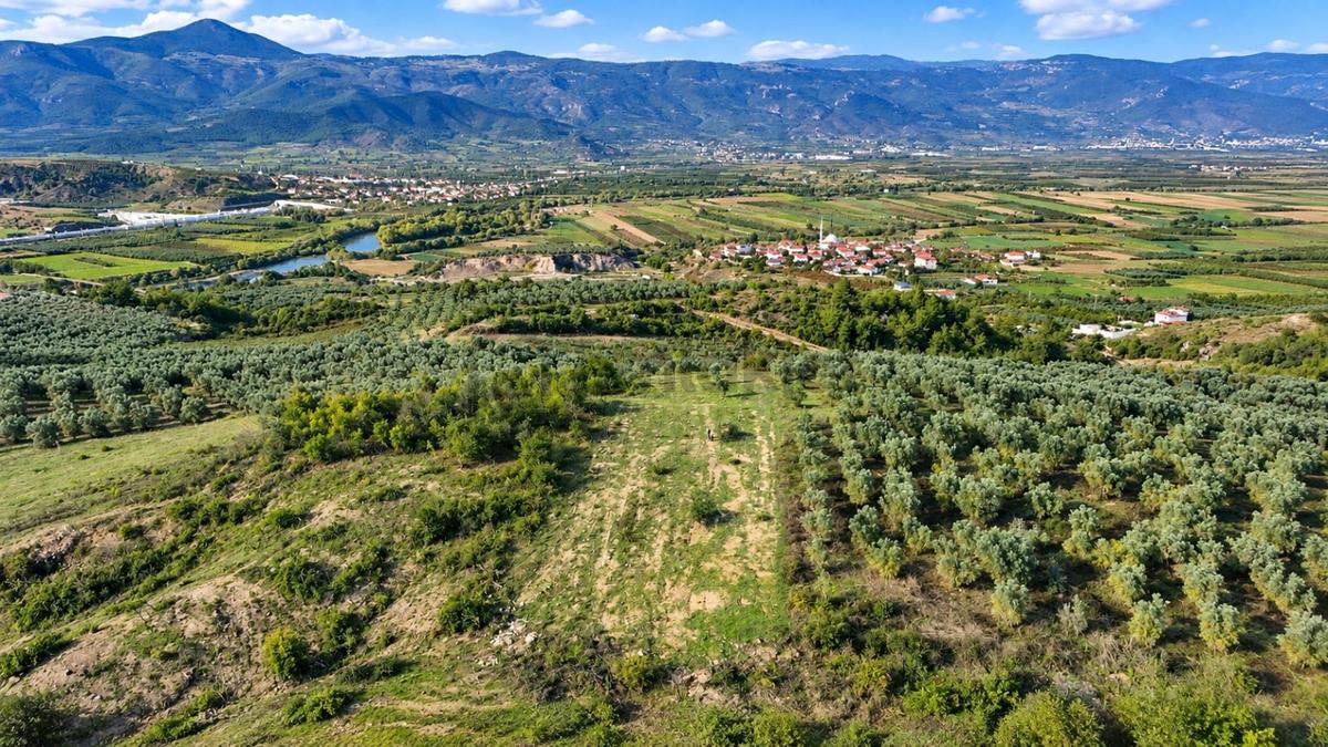 Geyve Osmaneli Sınırı 2390 M2 Bağ Nitelik Panoramik Manzaralı - 21