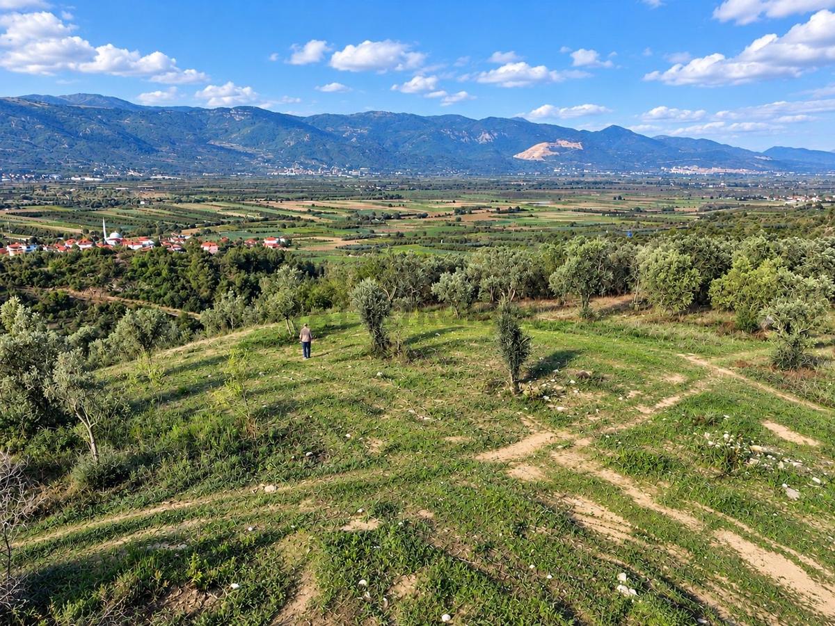 Geyve Osmaneli Sınırı 2390 M2 Bağ Nitelik Panoramik Manzaralı - 33