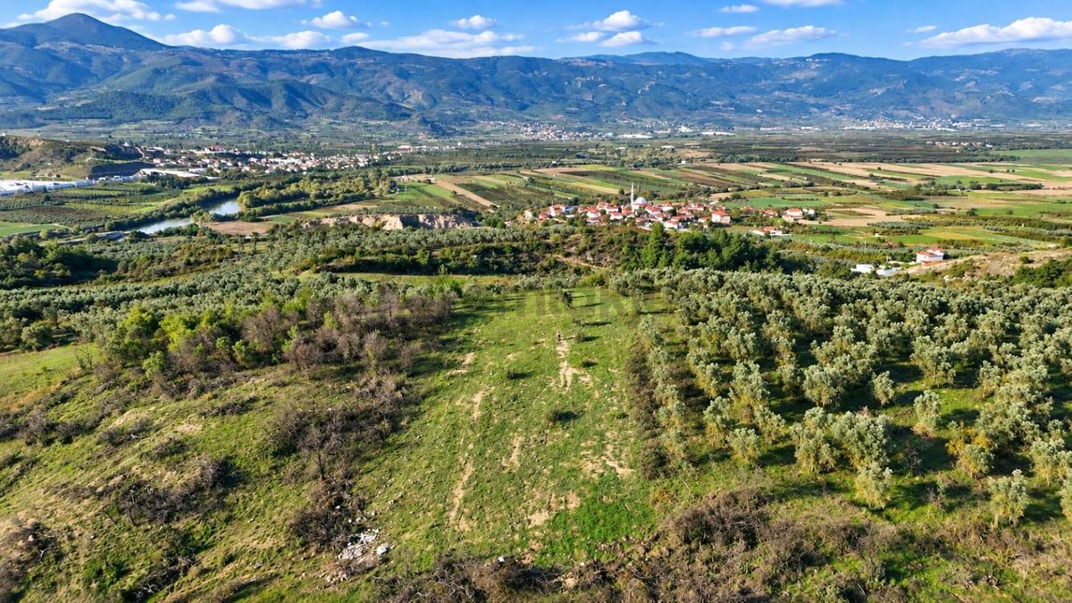Geyve Osmaneli Sınırı 2390 M2 Bağ Nitelik Panoramik Manzaralı - 28