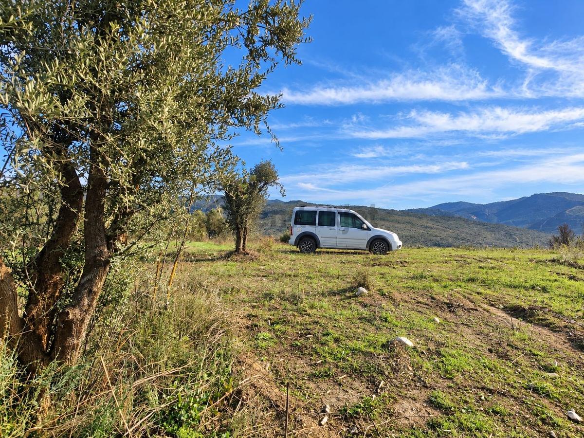 Geyve Osmaneli Sınırı 2390 M2 Bağ Nitelik Panoramik Manzaralı - 4