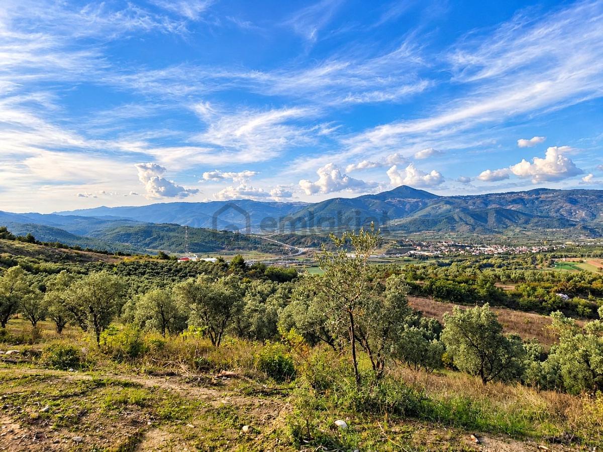 Geyve Osmaneli Sınırı 2390 M2 Bağ Nitelik Panoramik Manzaralı - 15