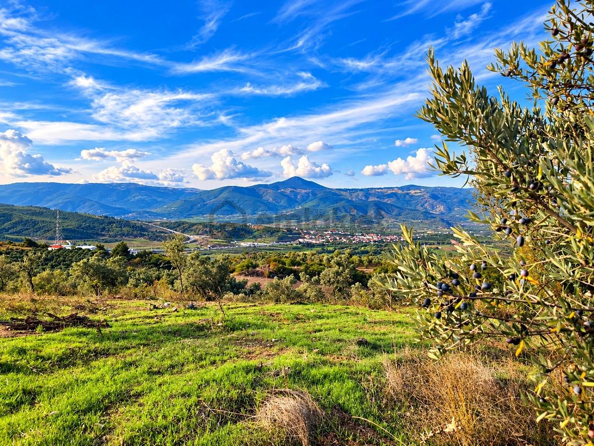 Geyve Osmaneli Sınırı 2390 M2 Bağ Nitelik Panoramik Manzaralı - 12