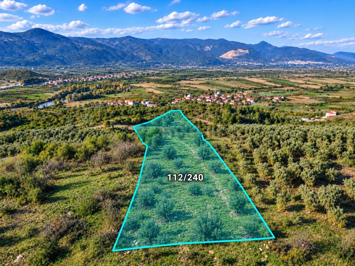 Geyve Osmaneli Sınırı 2390 M2 Bağ Nitelik Panoramik Manzaralı - 2