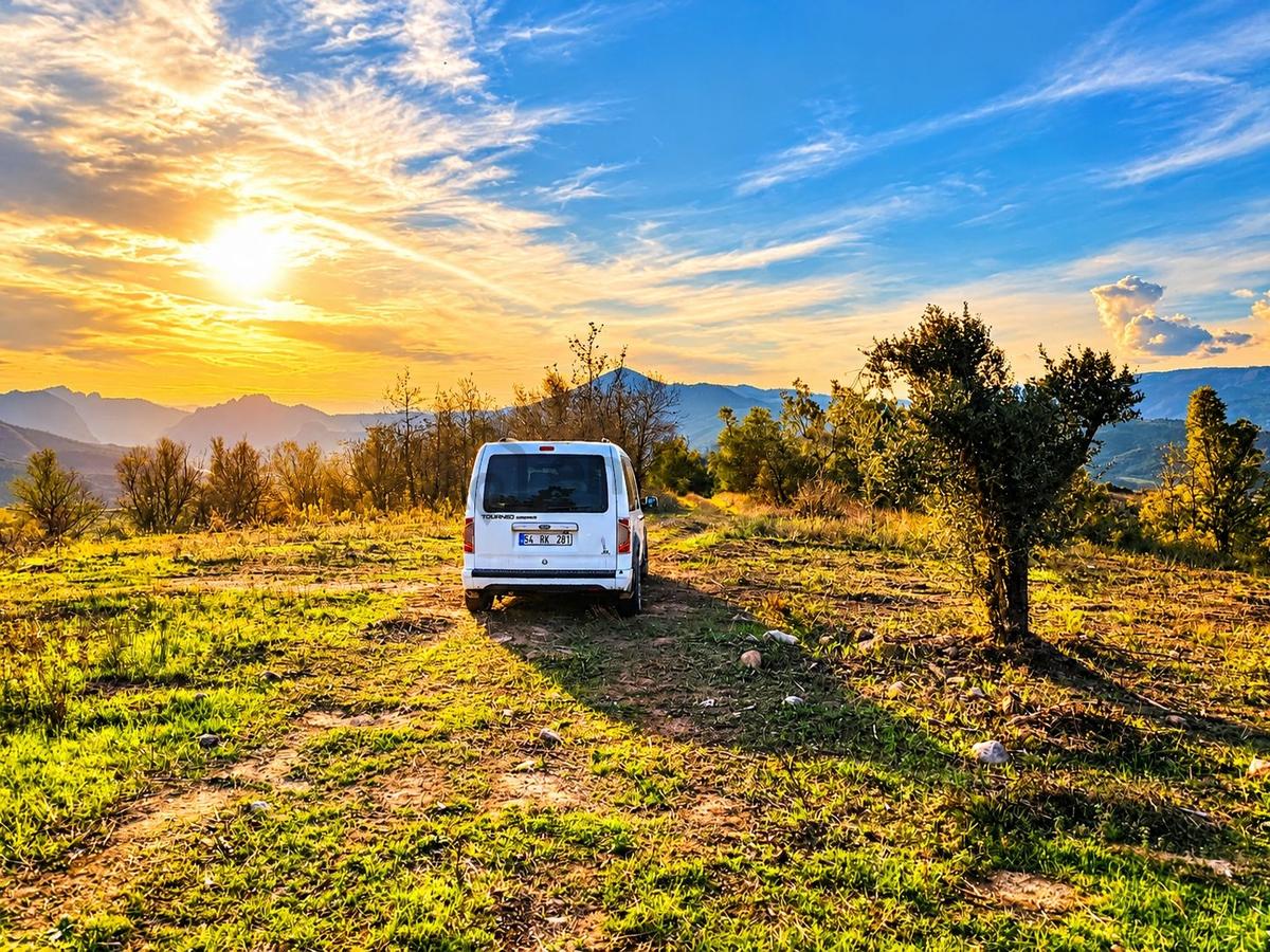 Geyve Osmaneli Sınırı 2390 M2 Bağ Nitelik Panoramik Manzaralı - 9