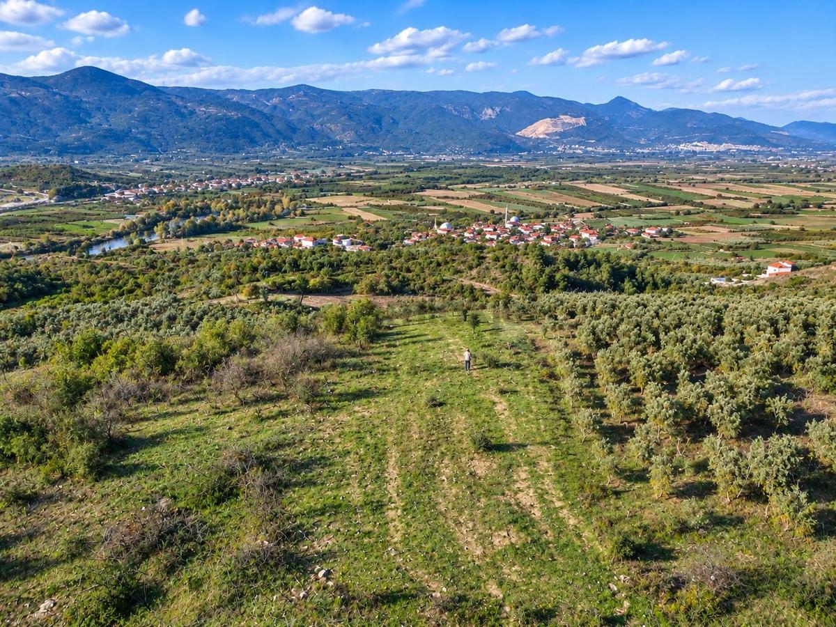 Geyve Osmaneli Sınırı 2390 M2 Bağ Nitelik Panoramik Manzaralı - 30