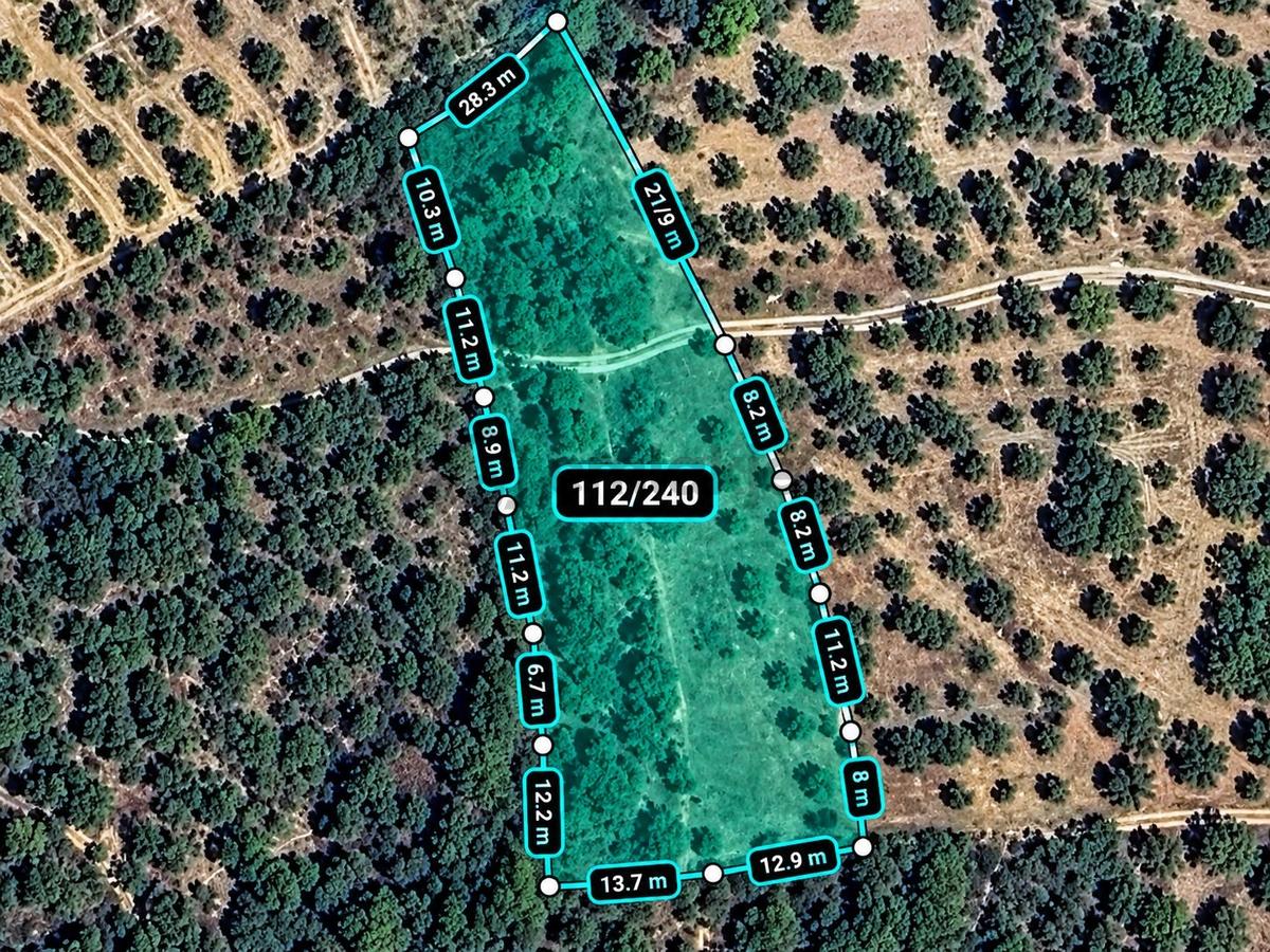Geyve Osmaneli Sınırı 2390 M2 Bağ Nitelik Panoramik Manzaralı - 3
