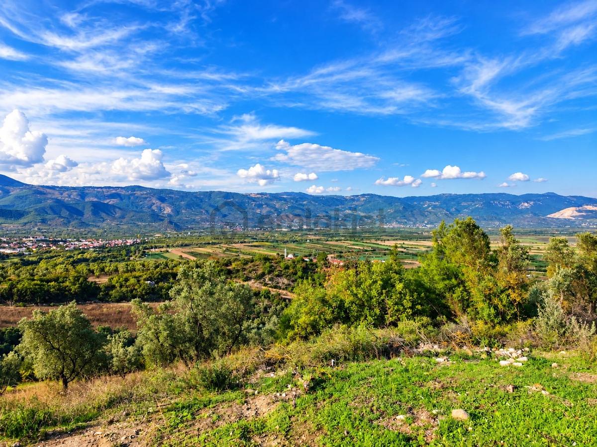 Geyve Osmaneli Sınırı 2390 M2 Bağ Nitelik Panoramik Manzaralı - 14