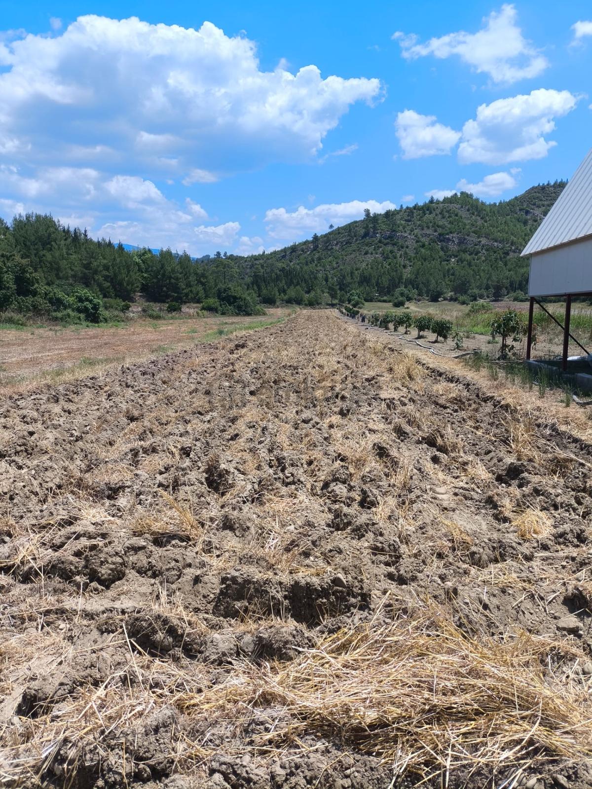 Sahibinden Irmak Kenarında Müstakil Tarla - 4