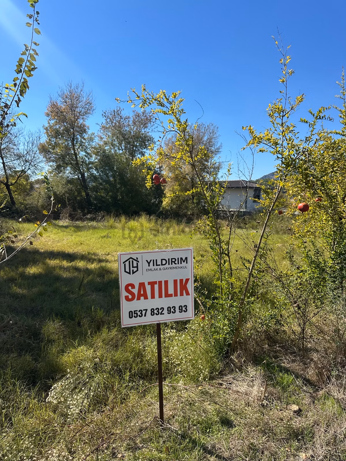 Ortaca Güzelyurt Satılık 1004m2 Köy Yerleşik Alan İçinde Arsa - 3