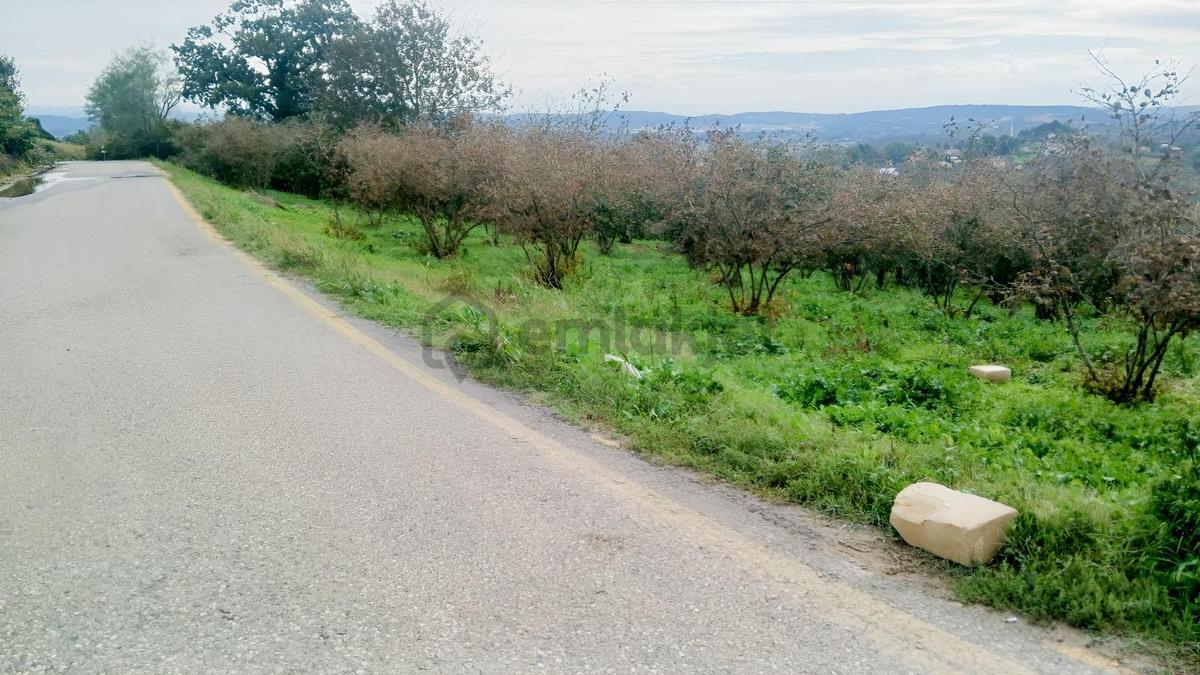 Sakarya / Ferizli / Teberik Mahallesi Satılık Fındık Bahçesi - 6
