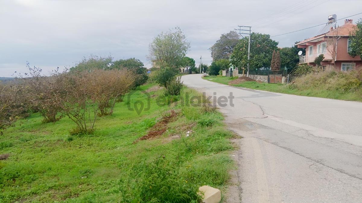 Sakarya / Ferizli / Teberik Mahallesi Satılık Fındık Bahçesi - 11