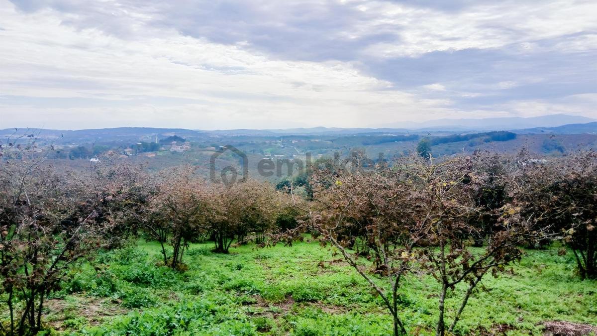 Sakarya / Ferizli / Teberik Mahallesi Satılık Fındık Bahçesi - 15