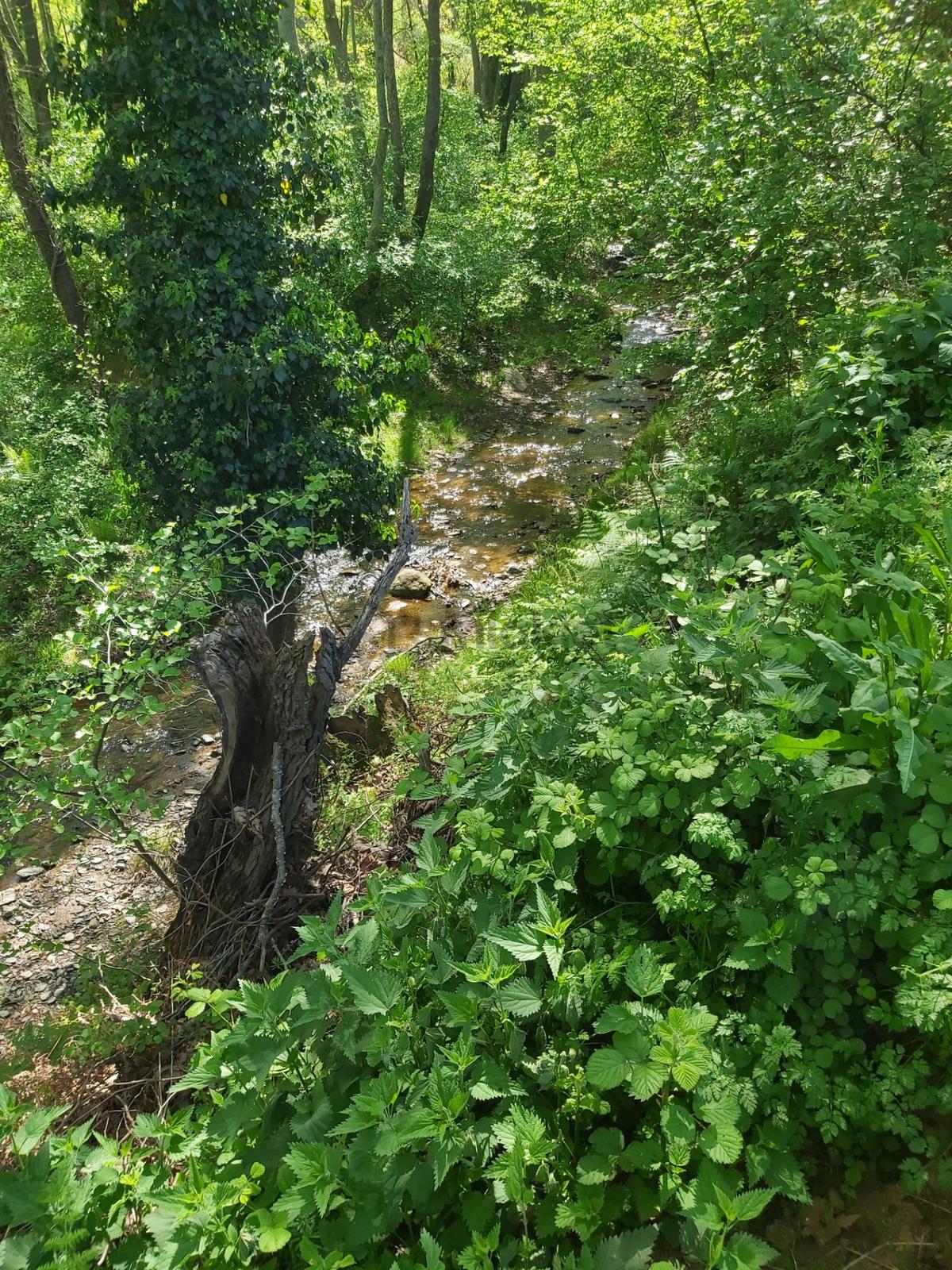 Sahibinden Denize Manzaralı Dereye Sıfır Turizm İmarlı - 2