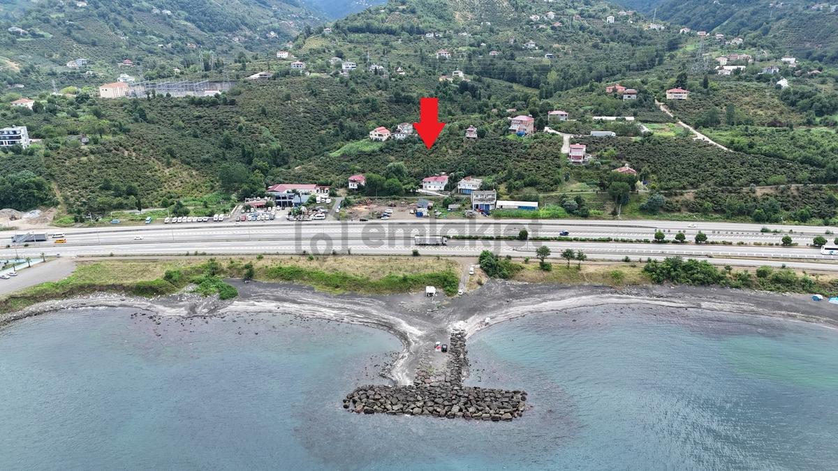 Mabel'den Vakfıkebir/ Yalıköy'de İmarlı Satılık 3.500 M2 Arsa - 8