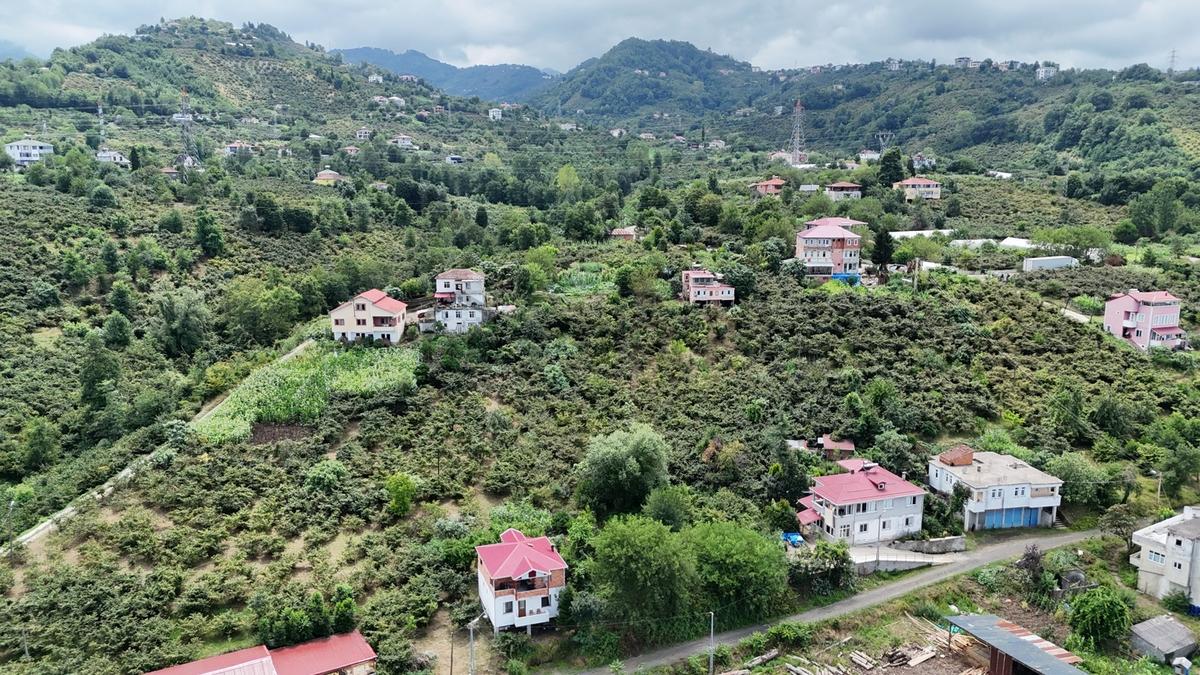 Mabel'den Vakfıkebir/ Yalıköy'de İmarlı Satılık 3.500 M2 Arsa - 7