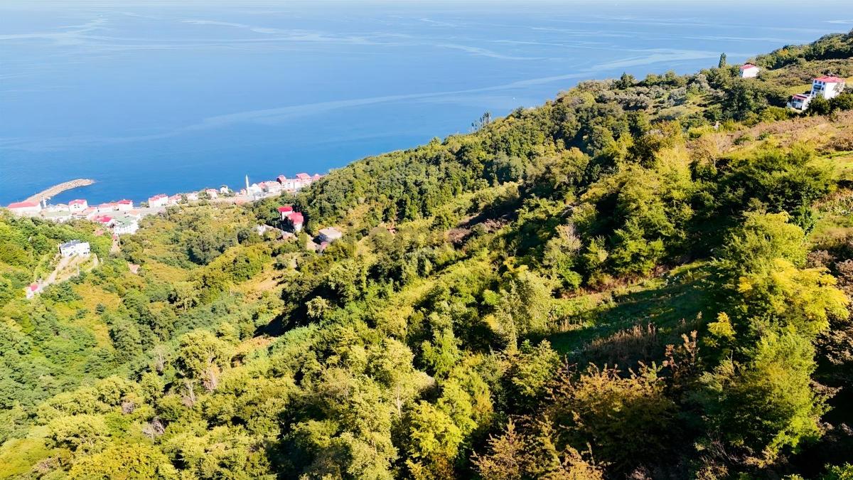 Mabel'den Akçaabat Mersin'de Satılık Arazi - 3