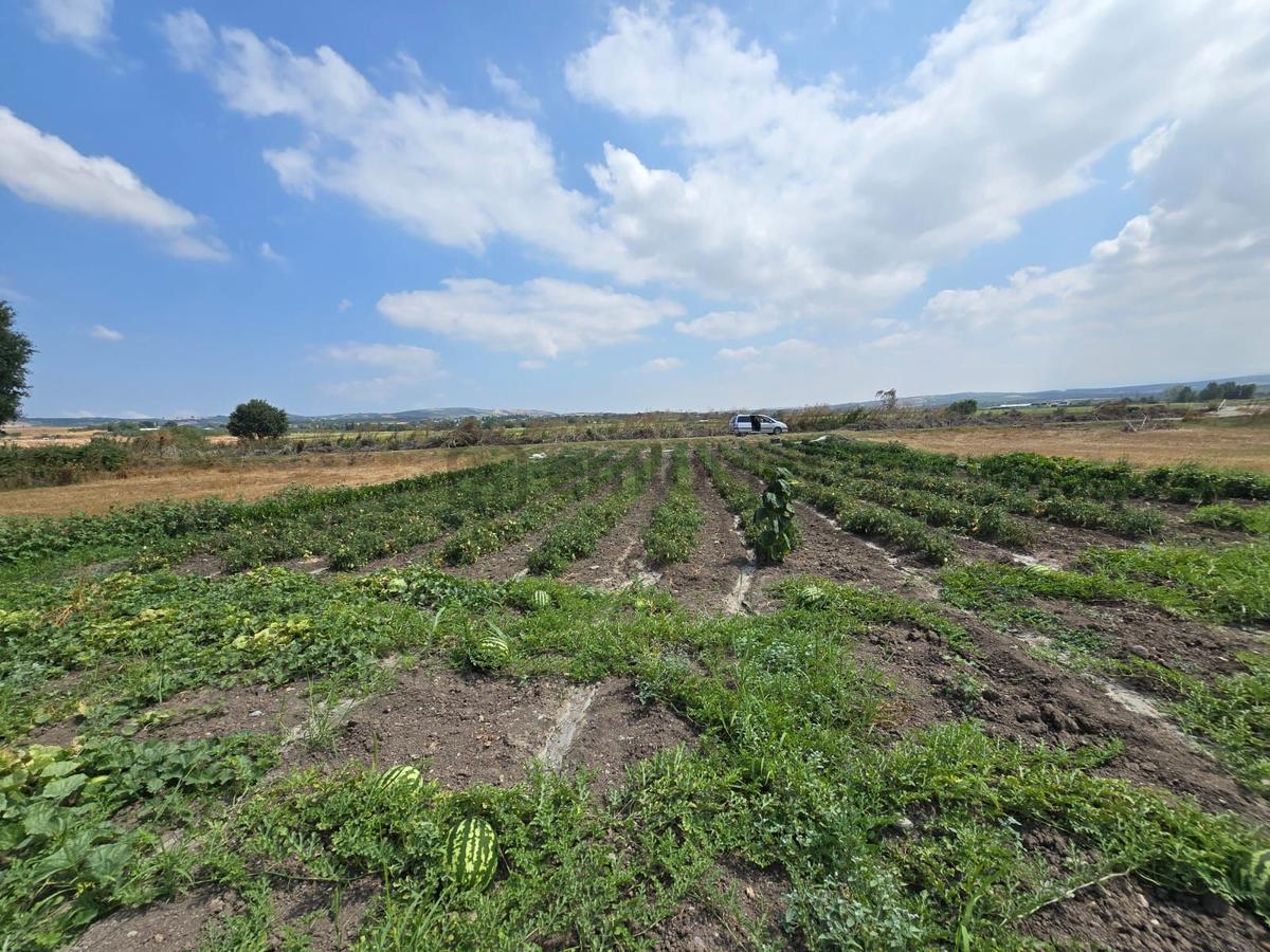 Sahibinden Çatalağıl Satılık 606 M2 Tarla - 11