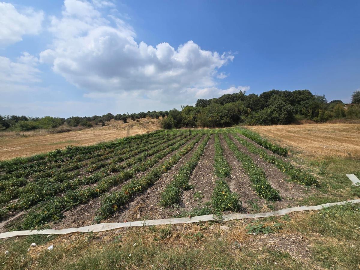 Sahibinden Çatalağıl Satılık 606 M2 Tarla - 16